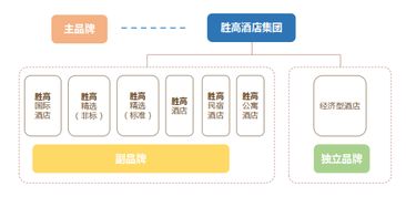 勝高Sego品牌營(yíng)銷案例總結(jié)